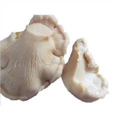 ক্যানড বিলিং মাশরুম